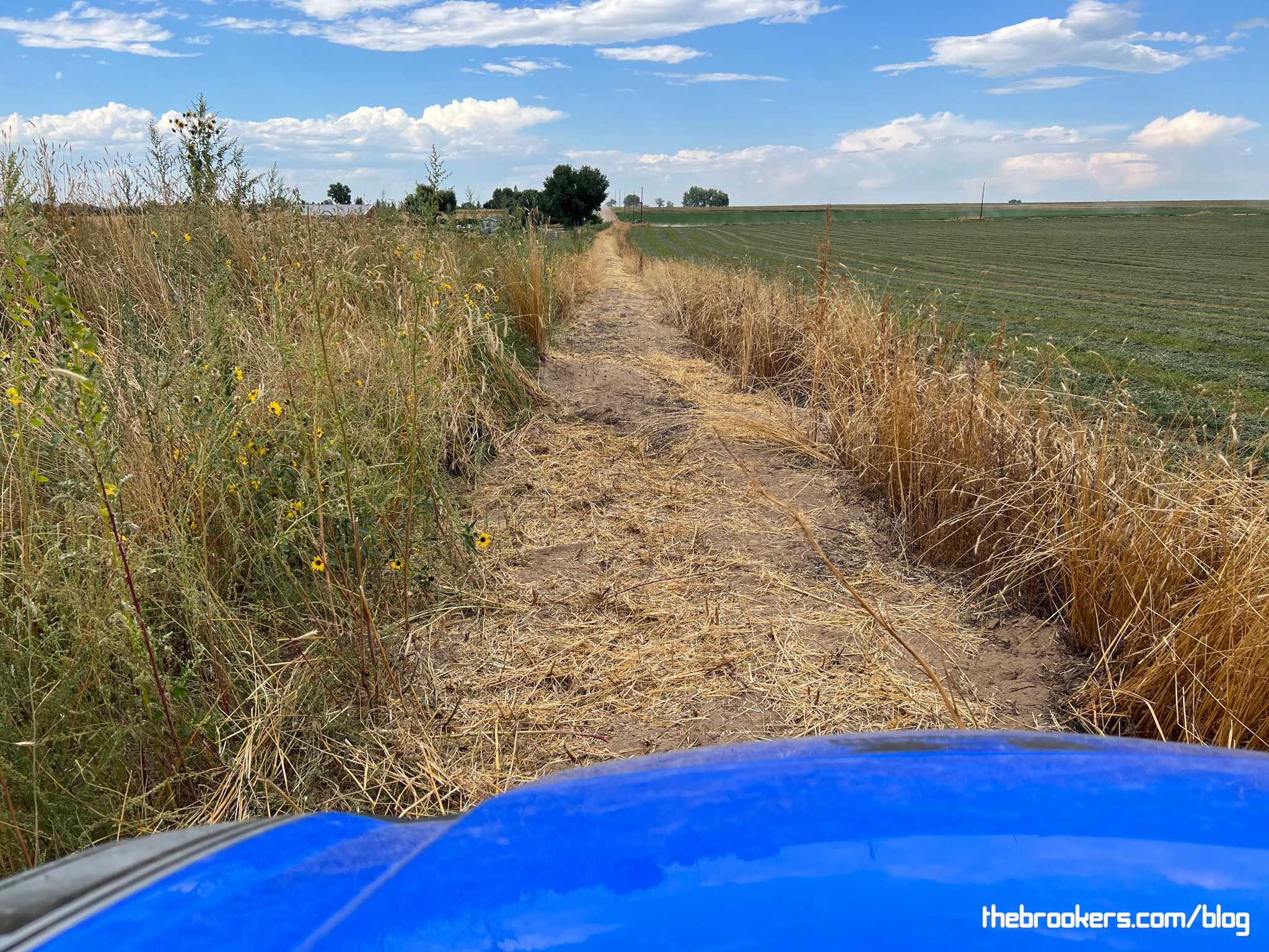 Cut a new path