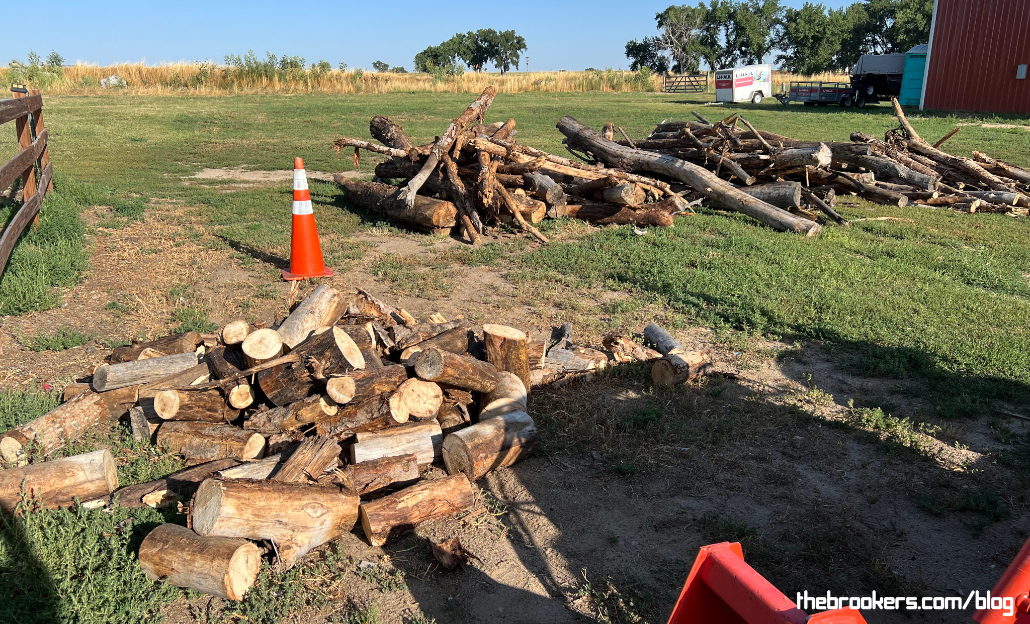 Firewood!