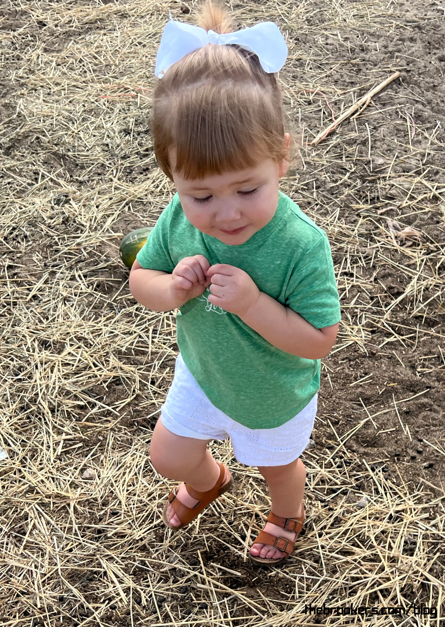 Fun in the goat pen