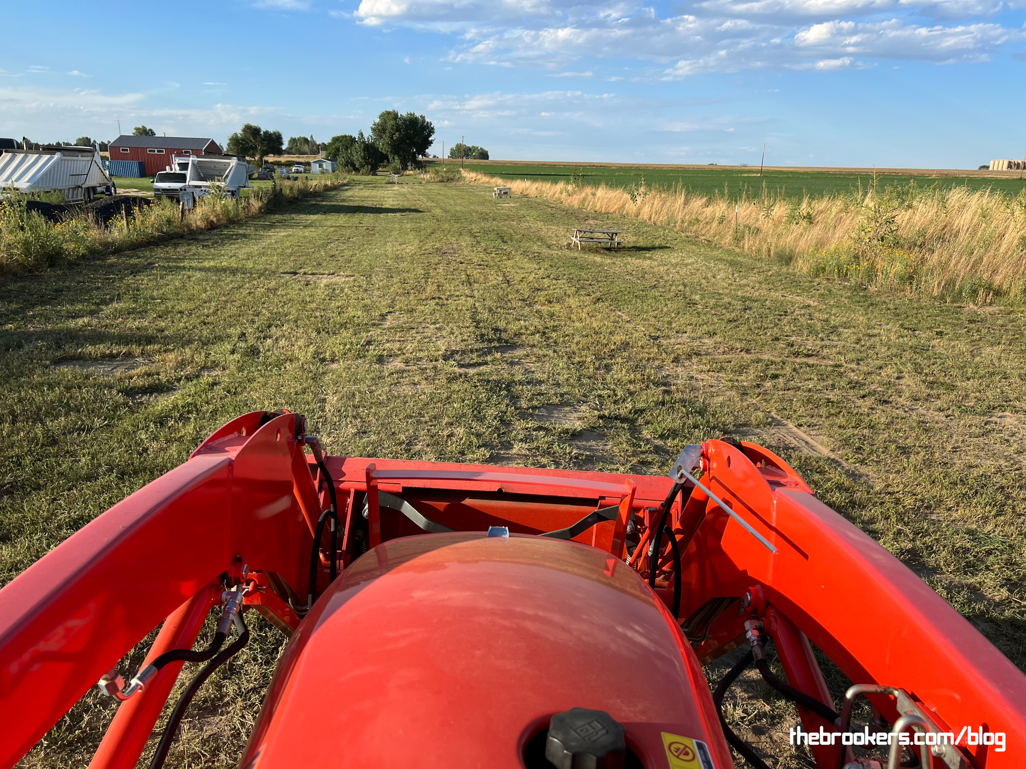 Mowing again