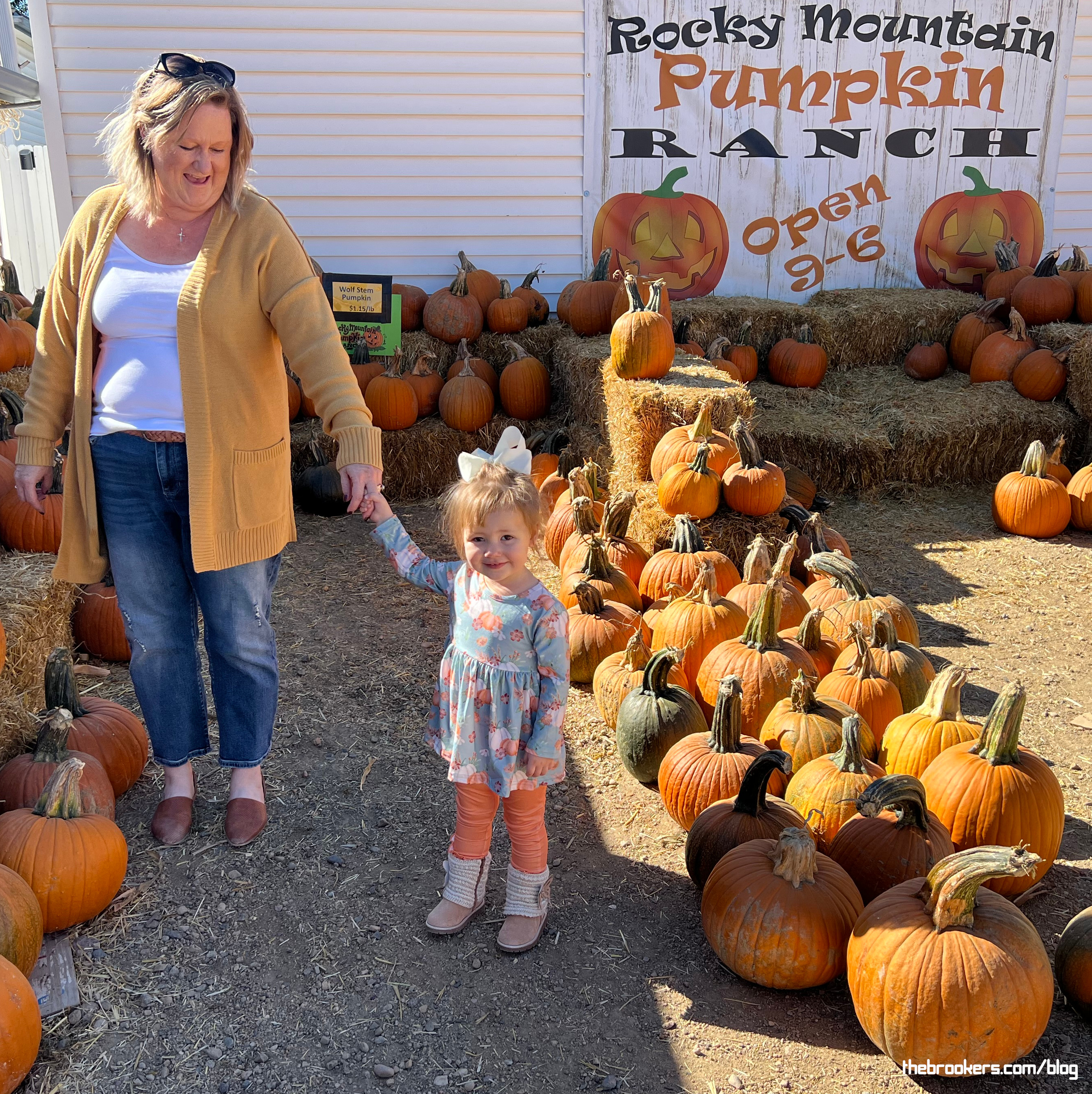 Pumpkin Patch