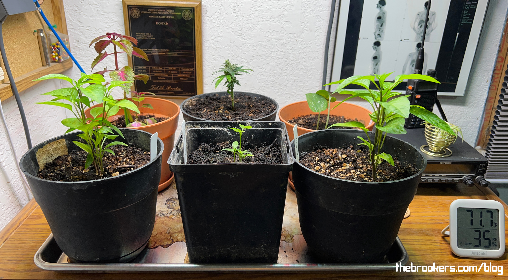 Indoor garden