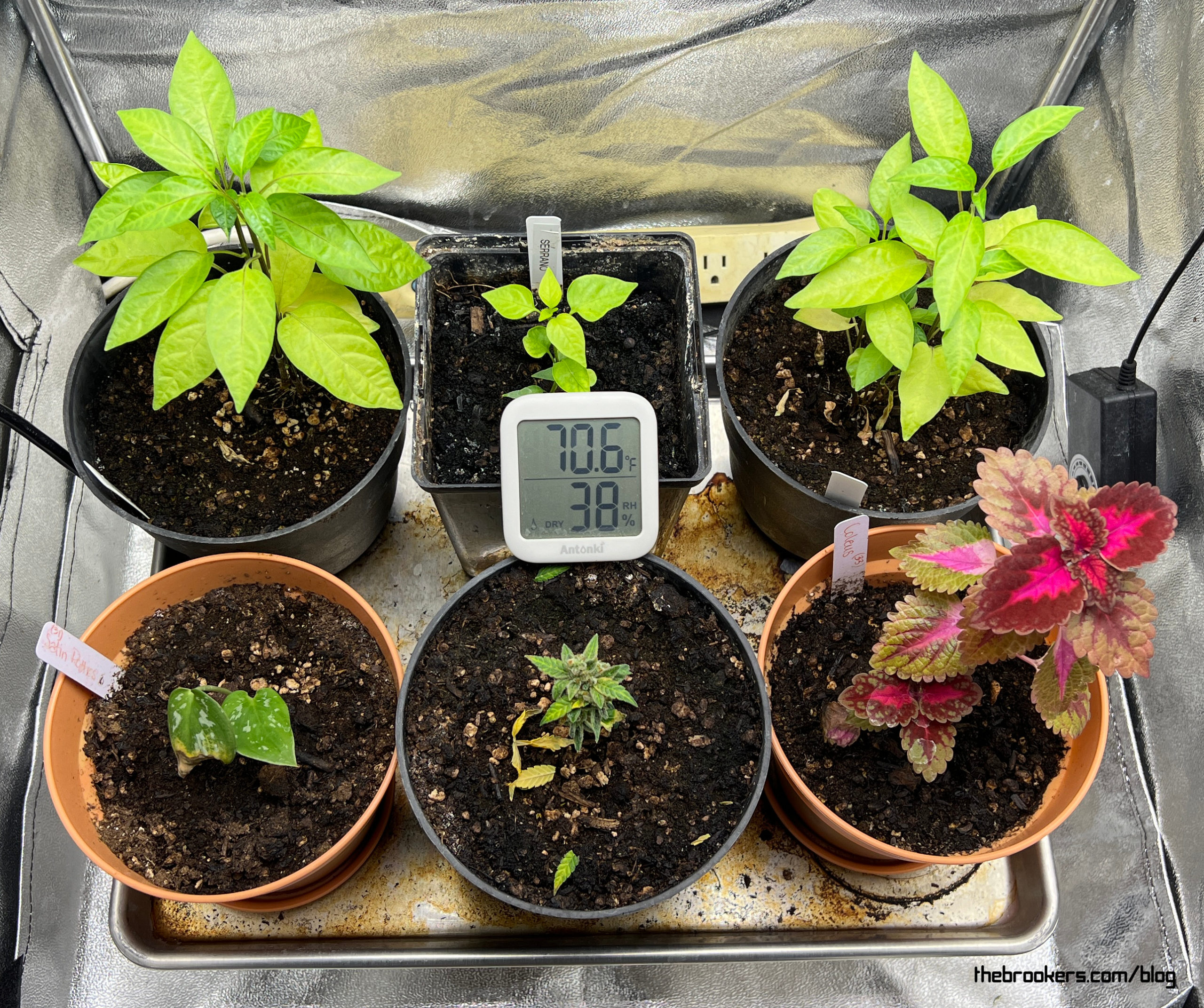 My Indoor Farm