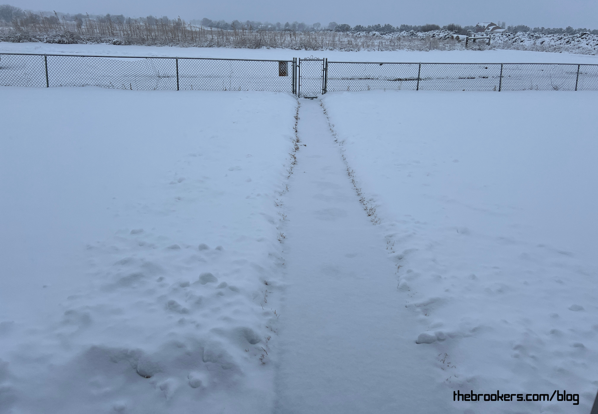 Snow way…