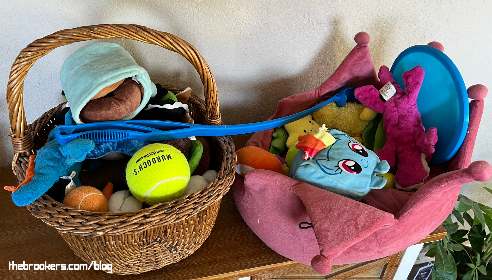 Dog toys