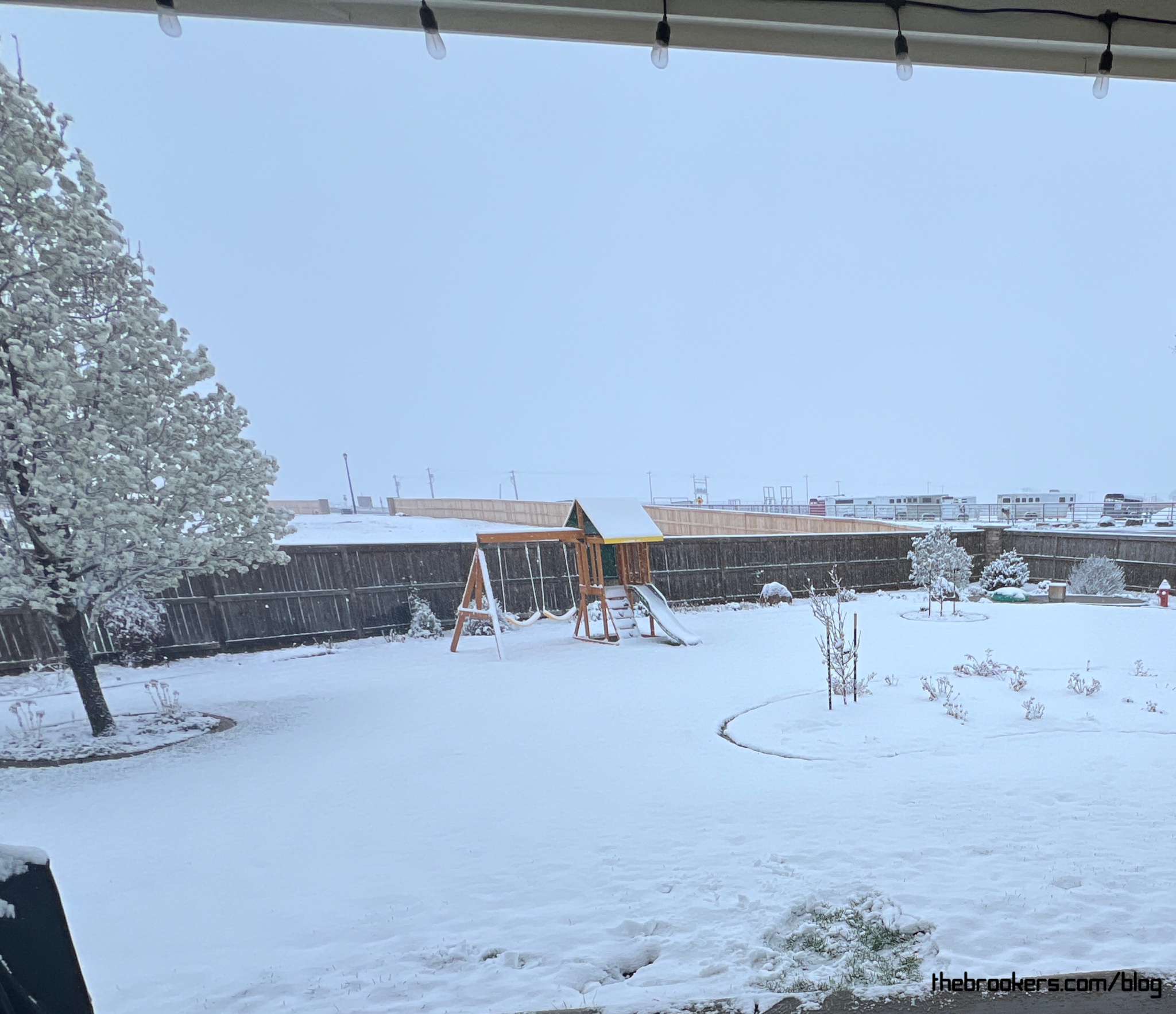 Fricking Snow!