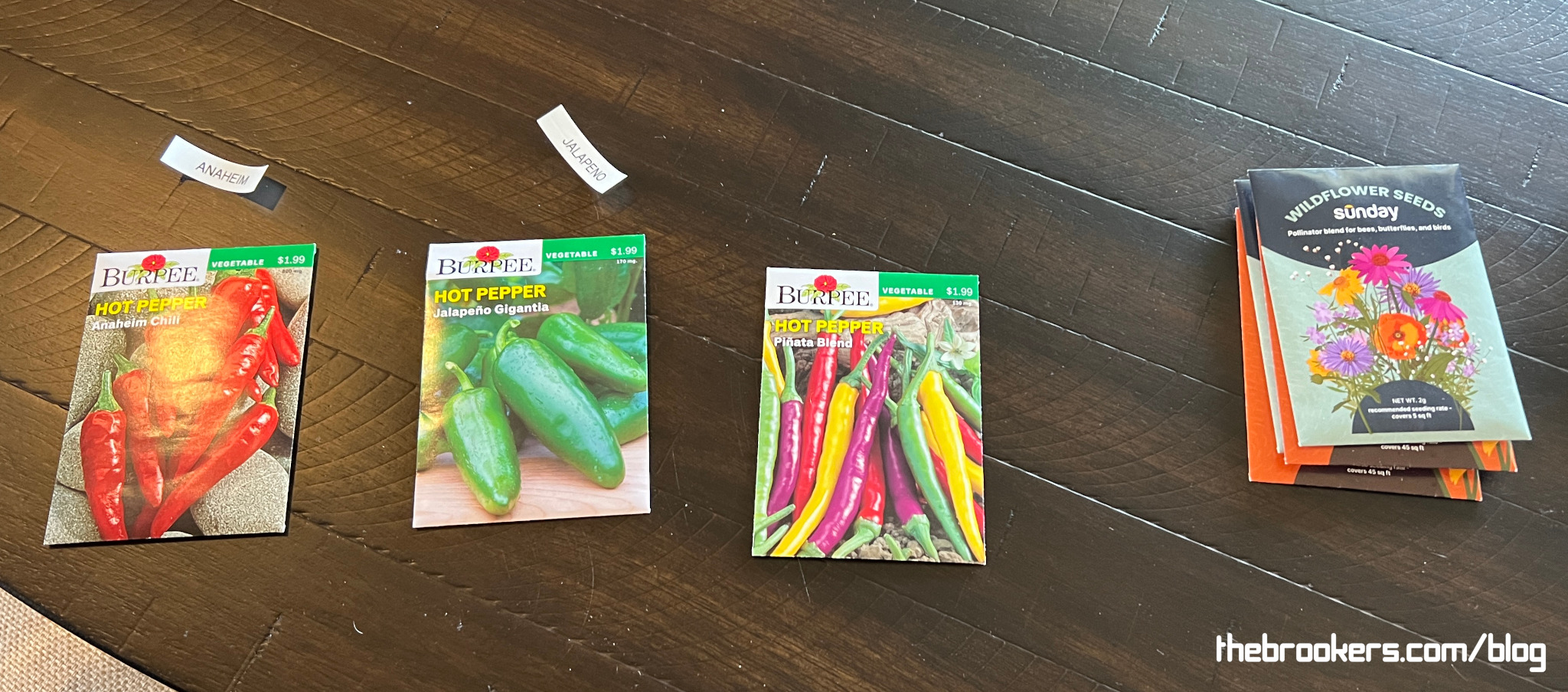 Plant the seeds