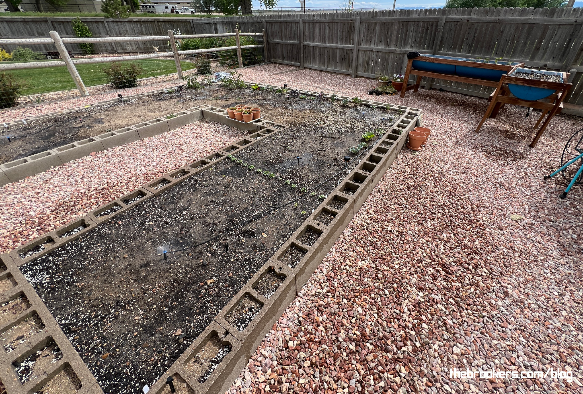 Garden is going!