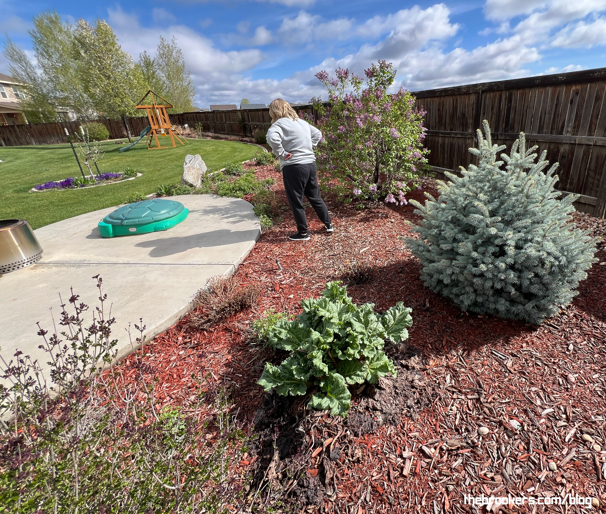 Examining the yard