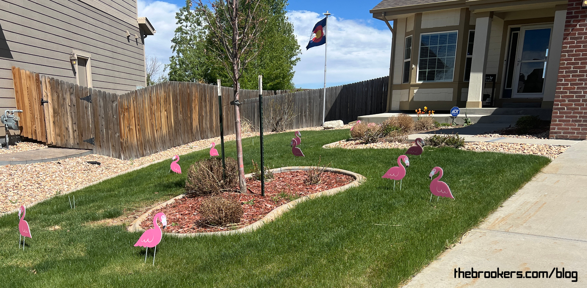 Flocked!