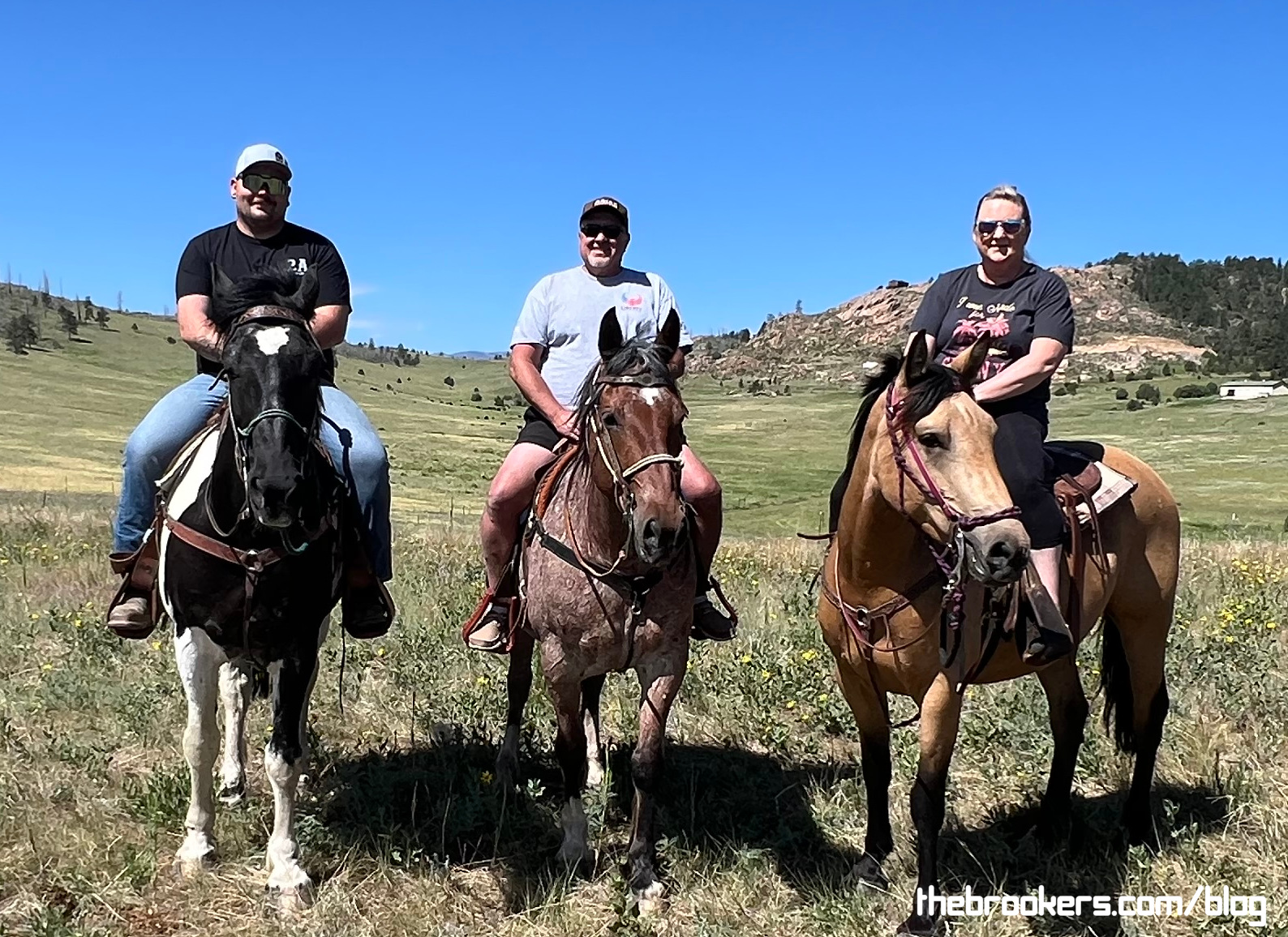 Ride em’ cowboys!