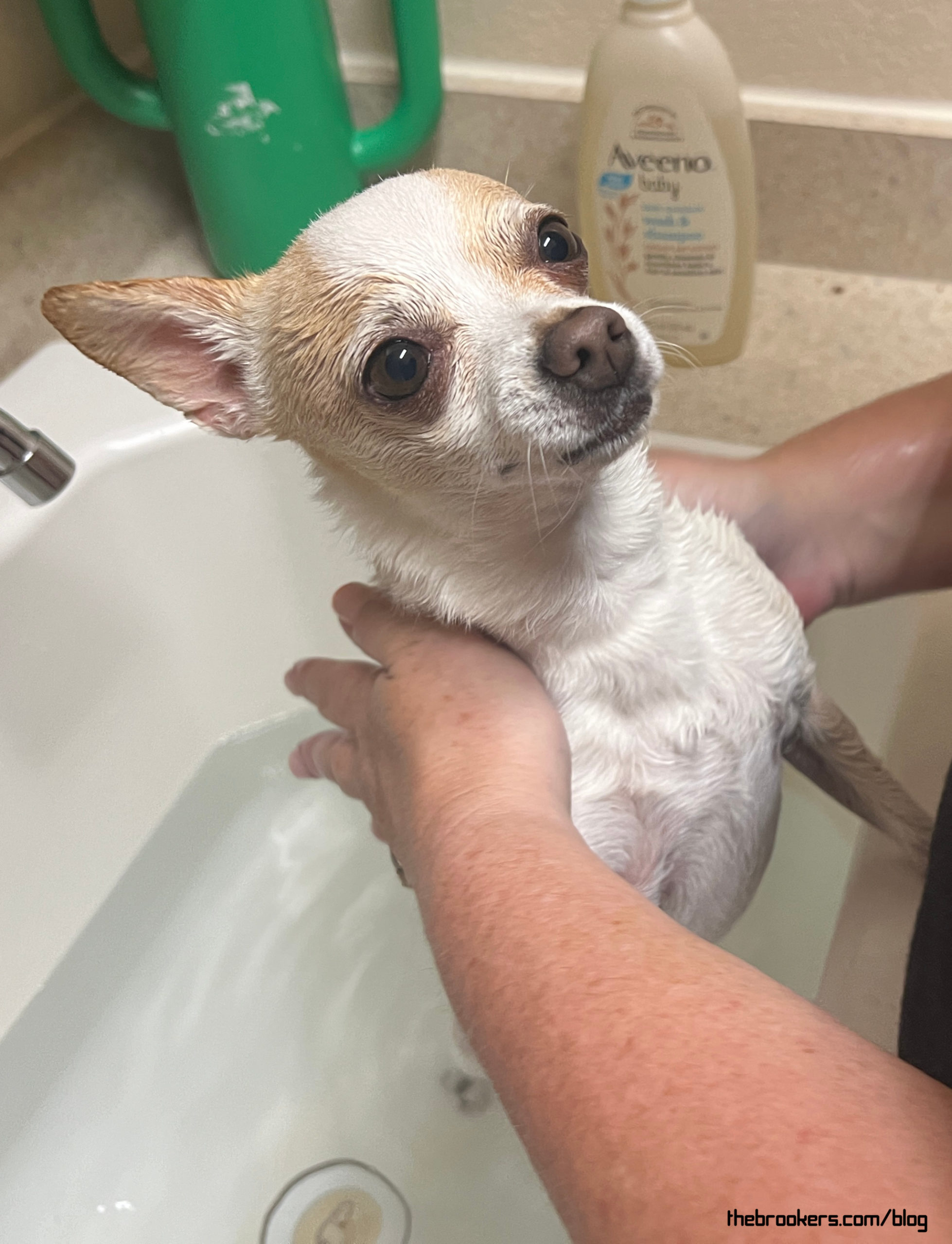 Bath Time