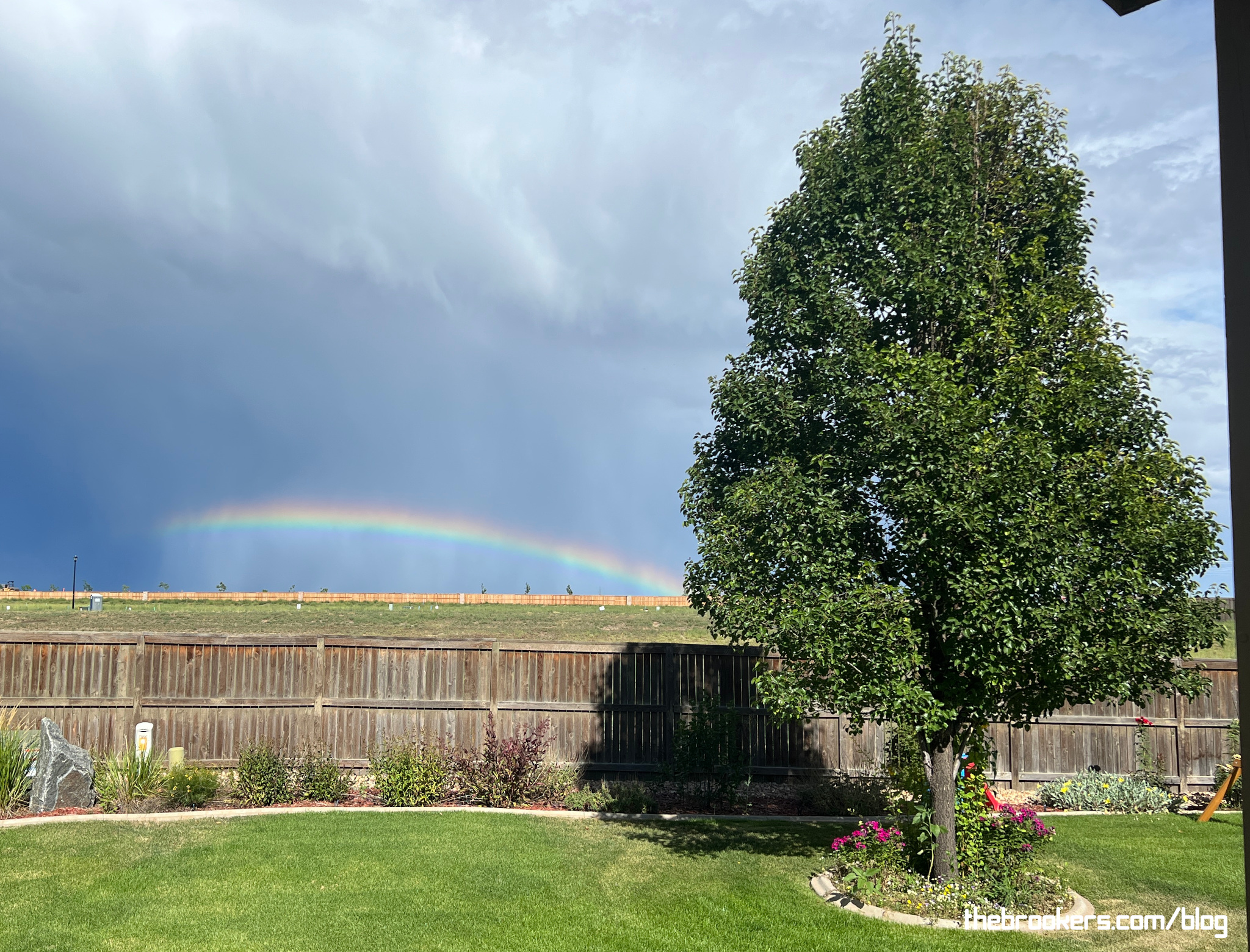 Rainbow 4 Rainbow