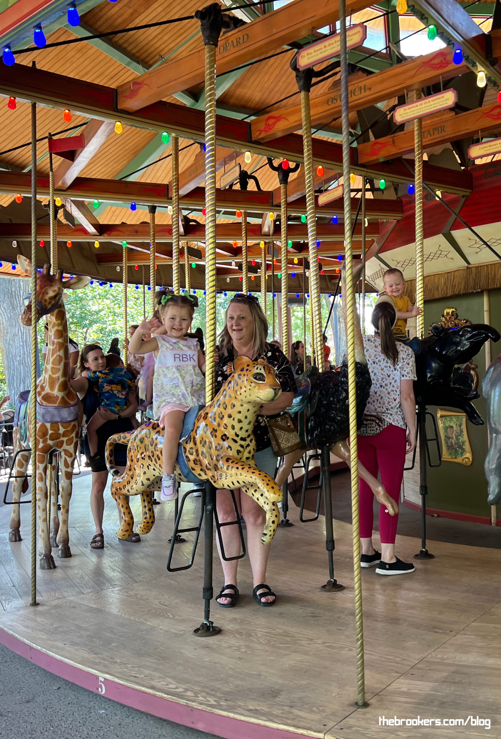 Carousel at the Zoo 6 Carousel at the Zoo