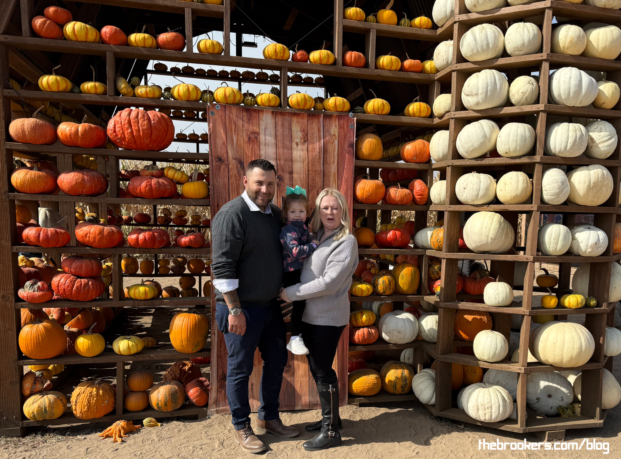 Pumpkin Patch
