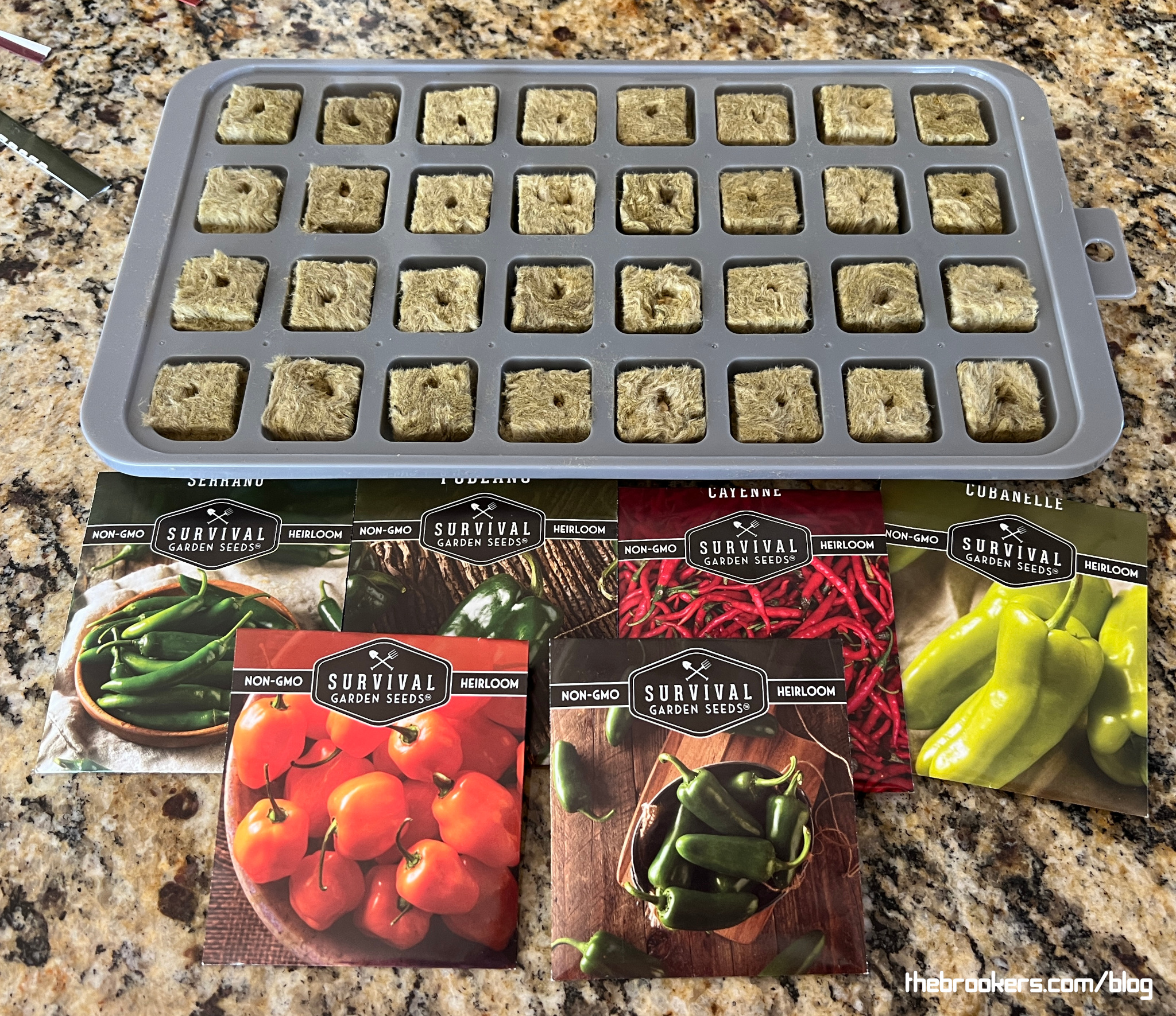 Indoor pepper farm! 10 Indoor pepper farm!