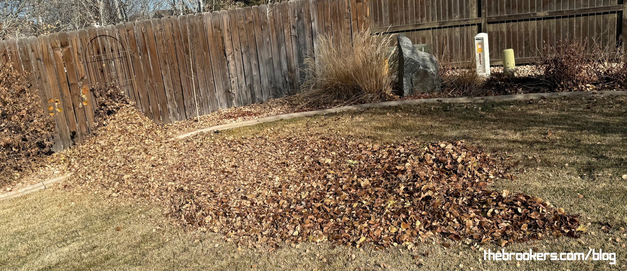 Leaves!