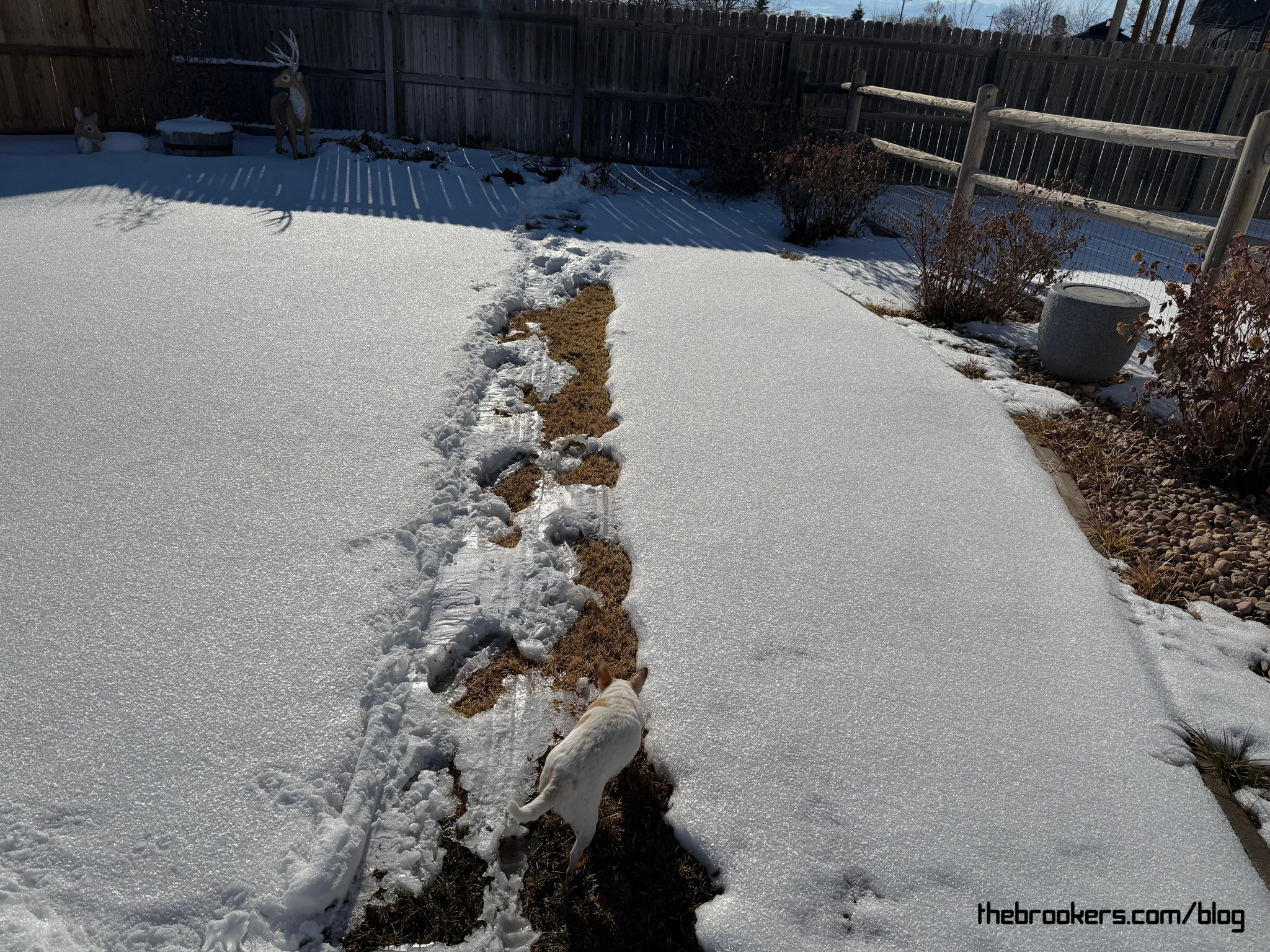 Stella’s Path