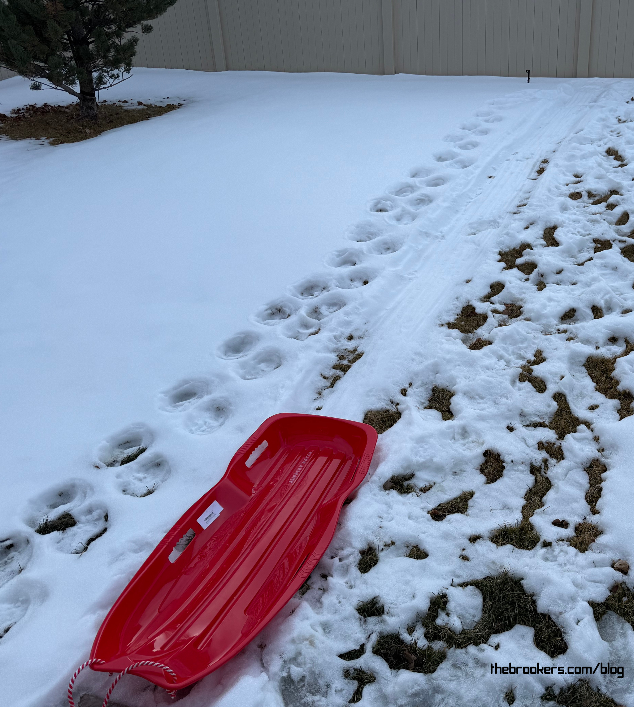 Rori’s Sledding Hill