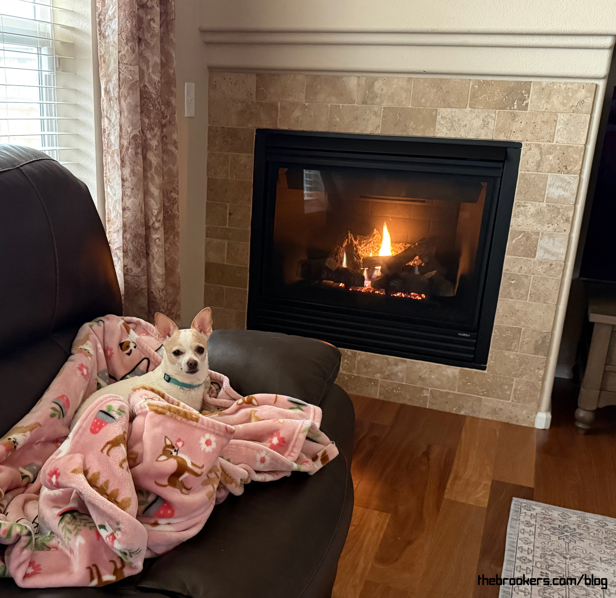 A warm fire 3 A warm fire