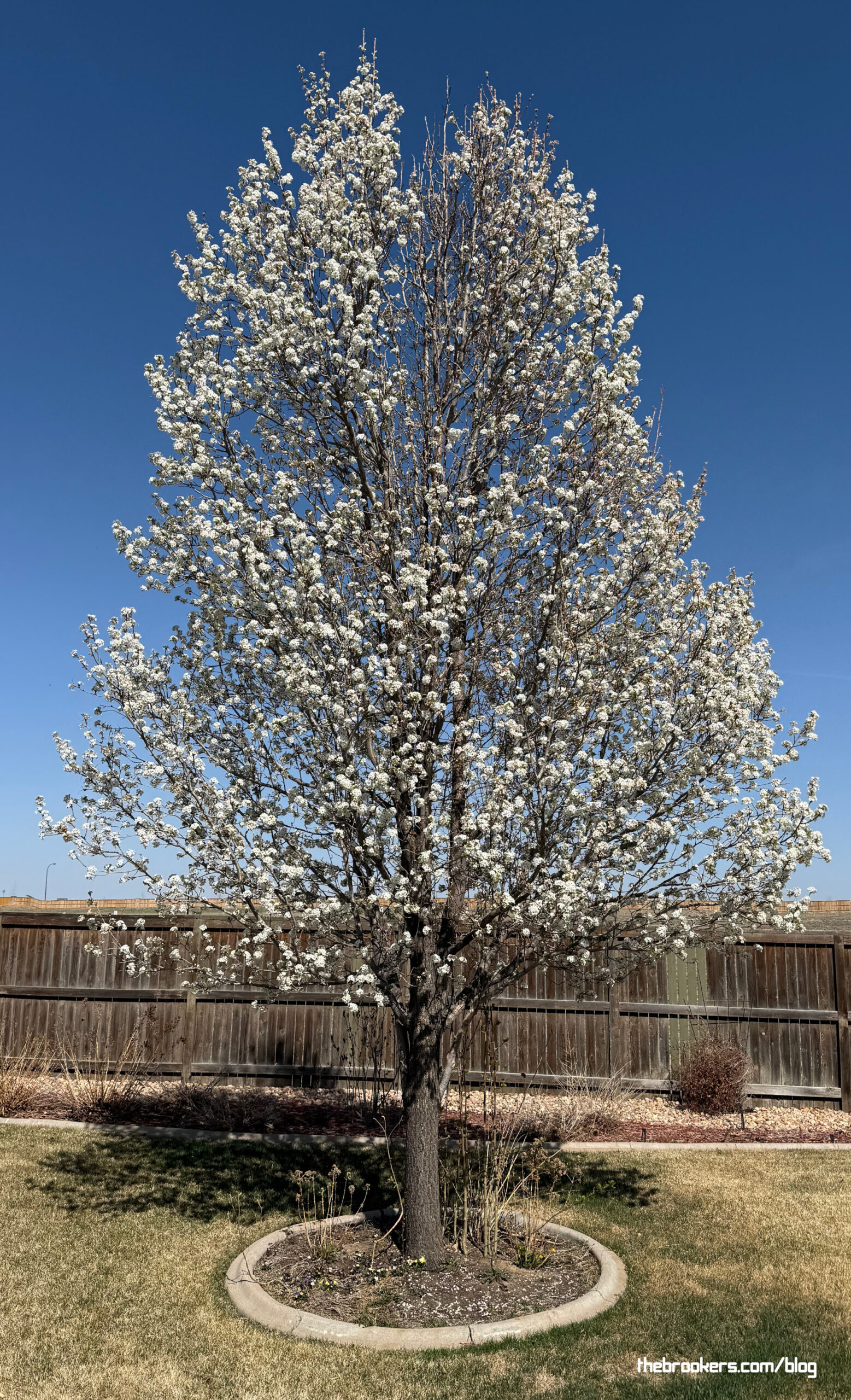 Spring time! 4 Spring time!