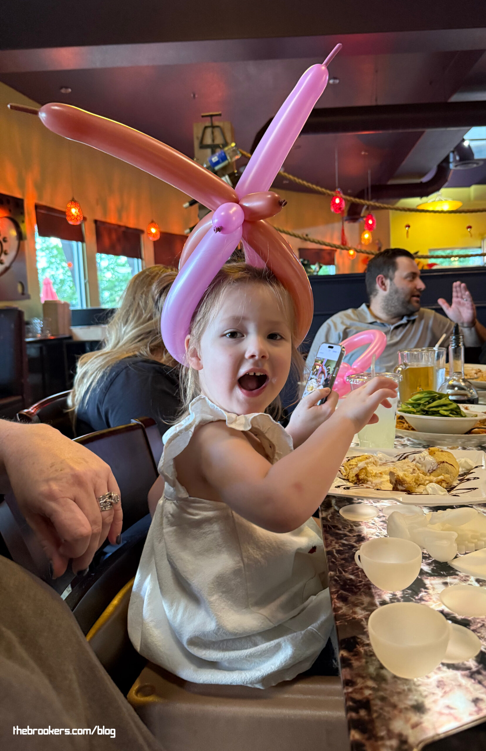Dinner fun 7 Dinner fun