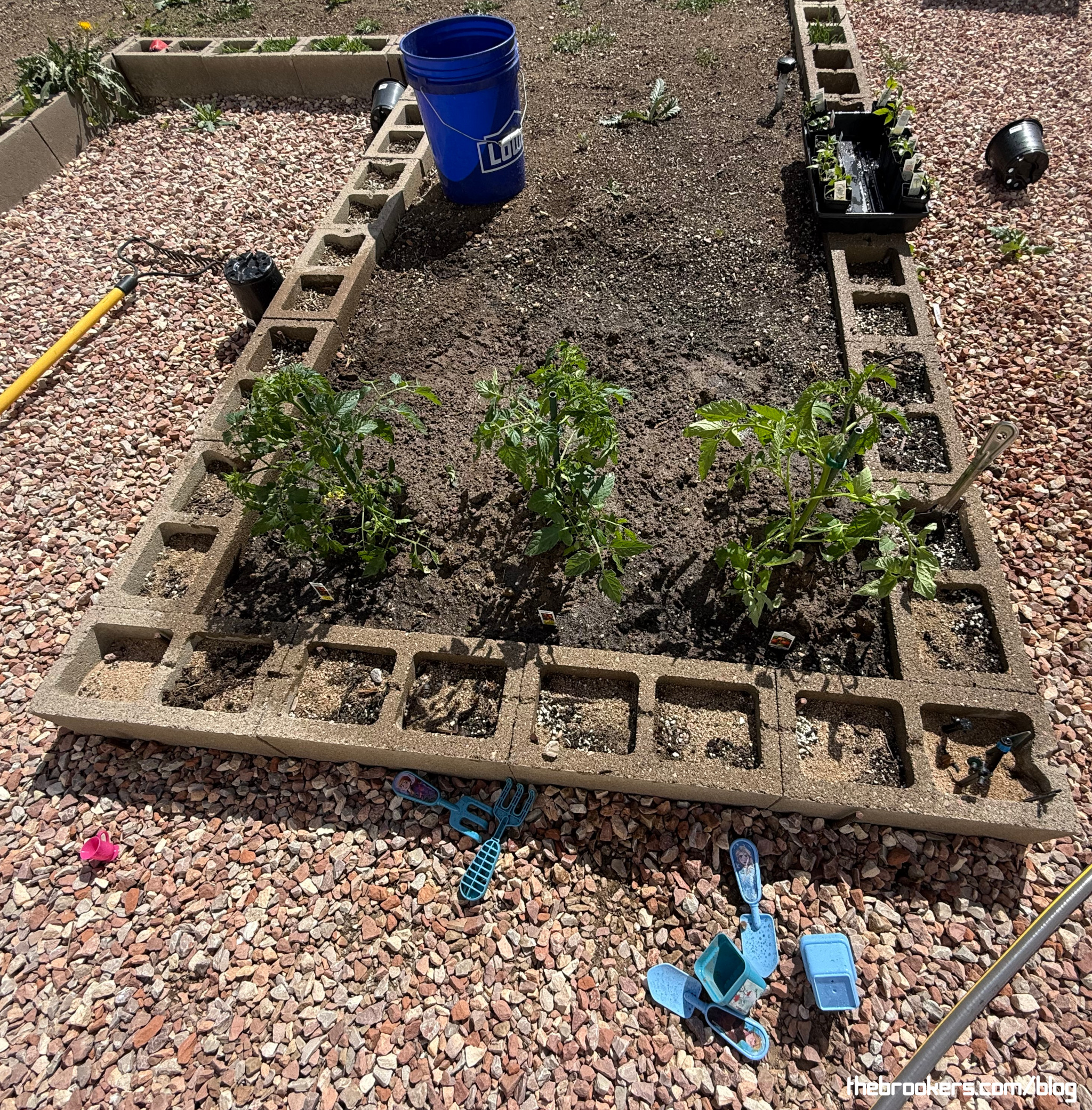 Garden is started