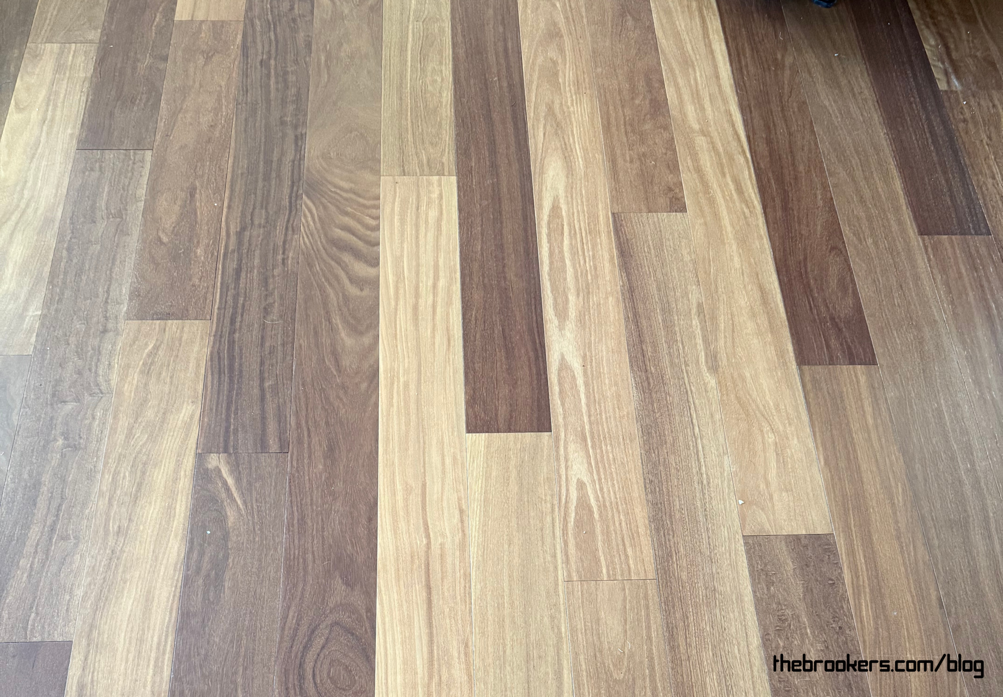 Hardwood everywhere 4 Hardwood everywhere