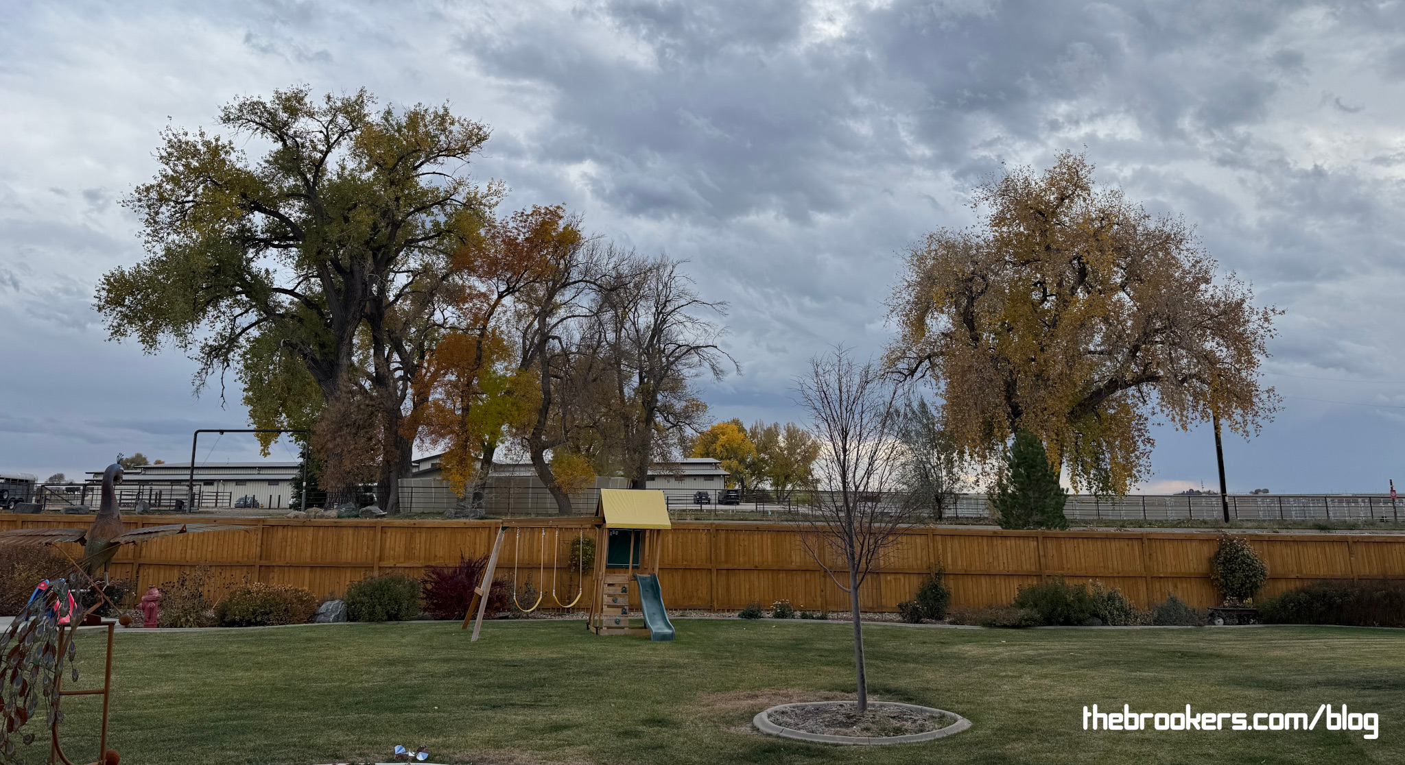 Fall is here… 3 Fall is here…