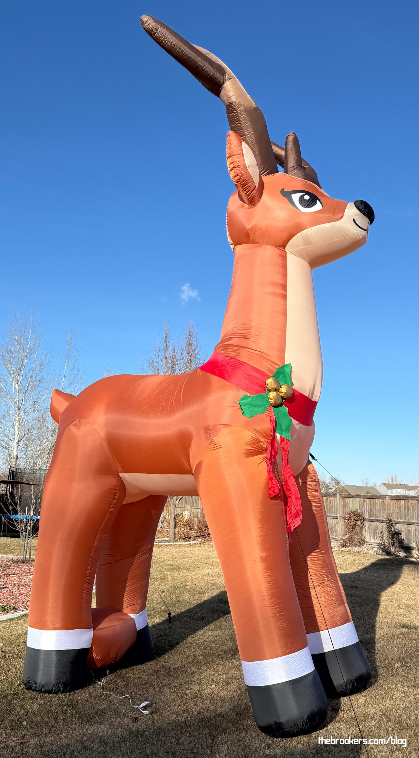 20′ Rudolph