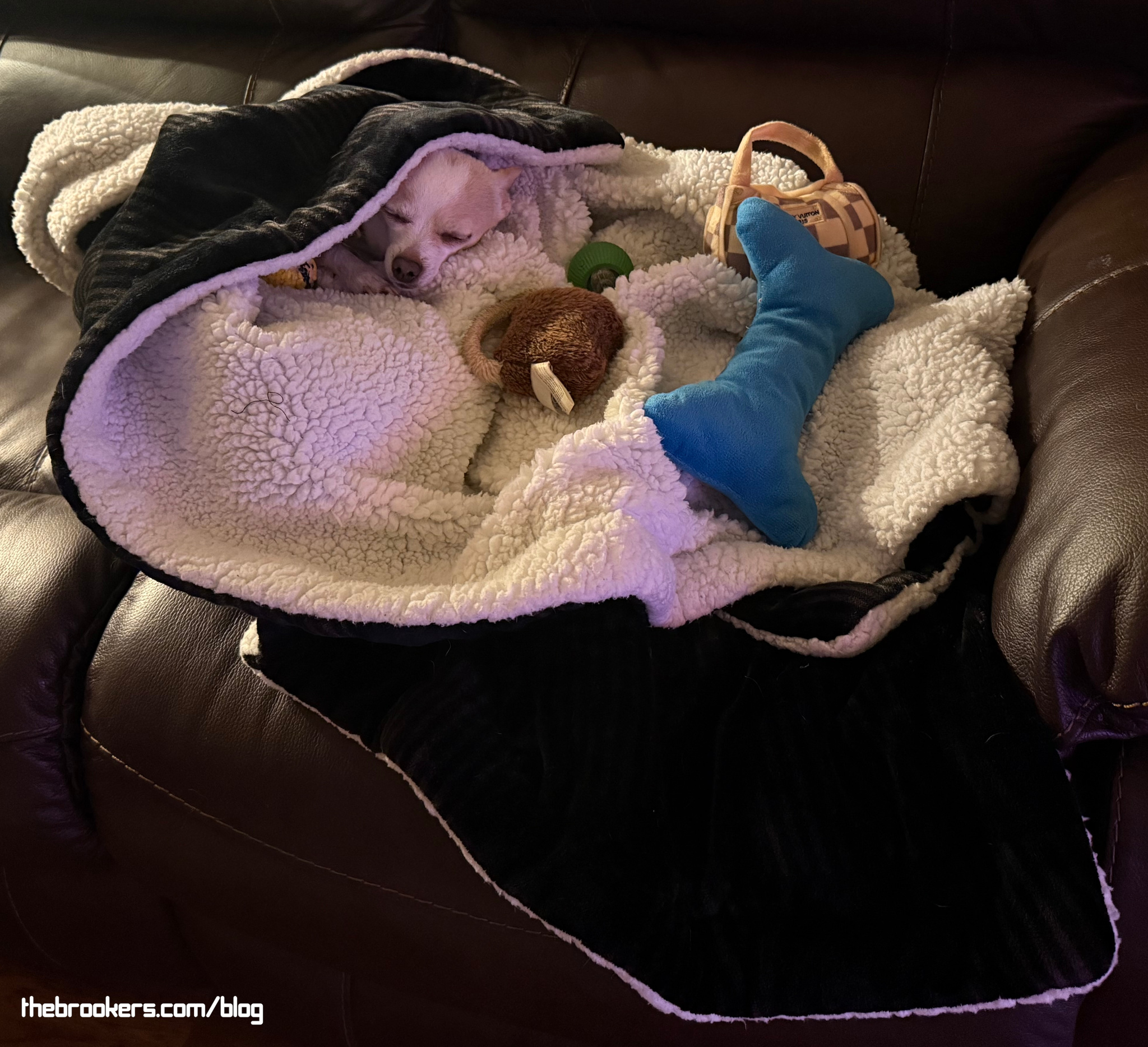 Sleepin' with toys 4 Sleepin’ with toys
