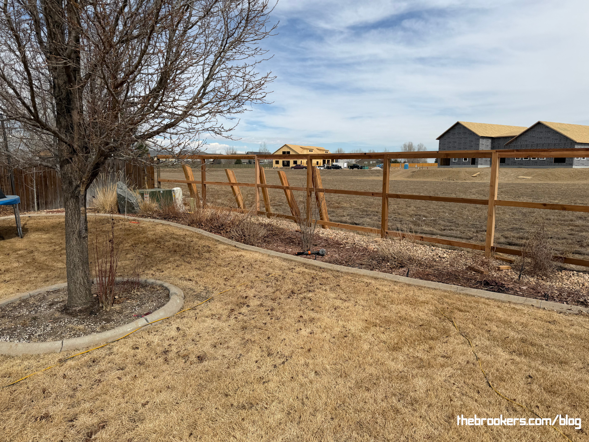 New Fence 7 New Fence