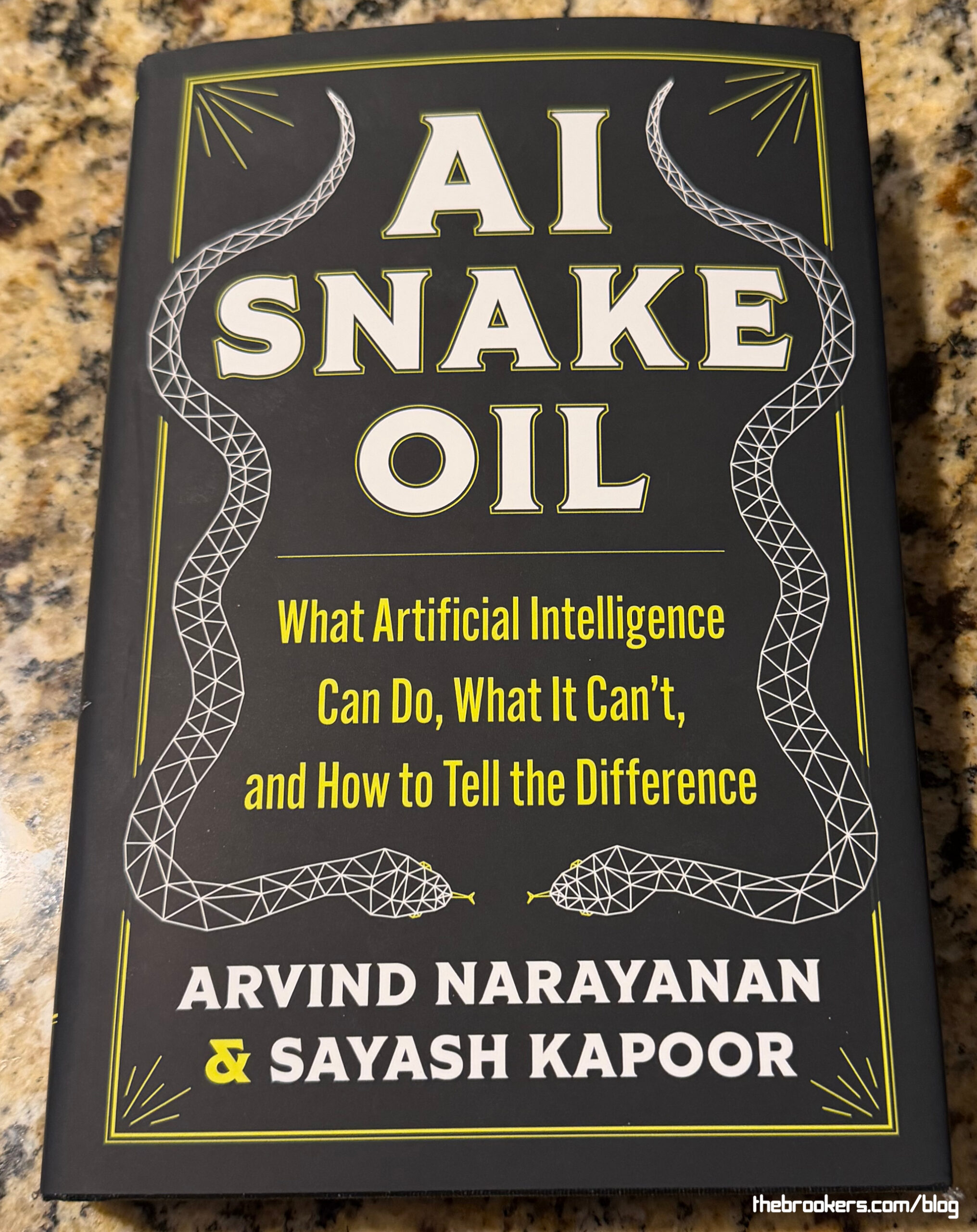 AI Snake Oil 7 AI Snake Oil