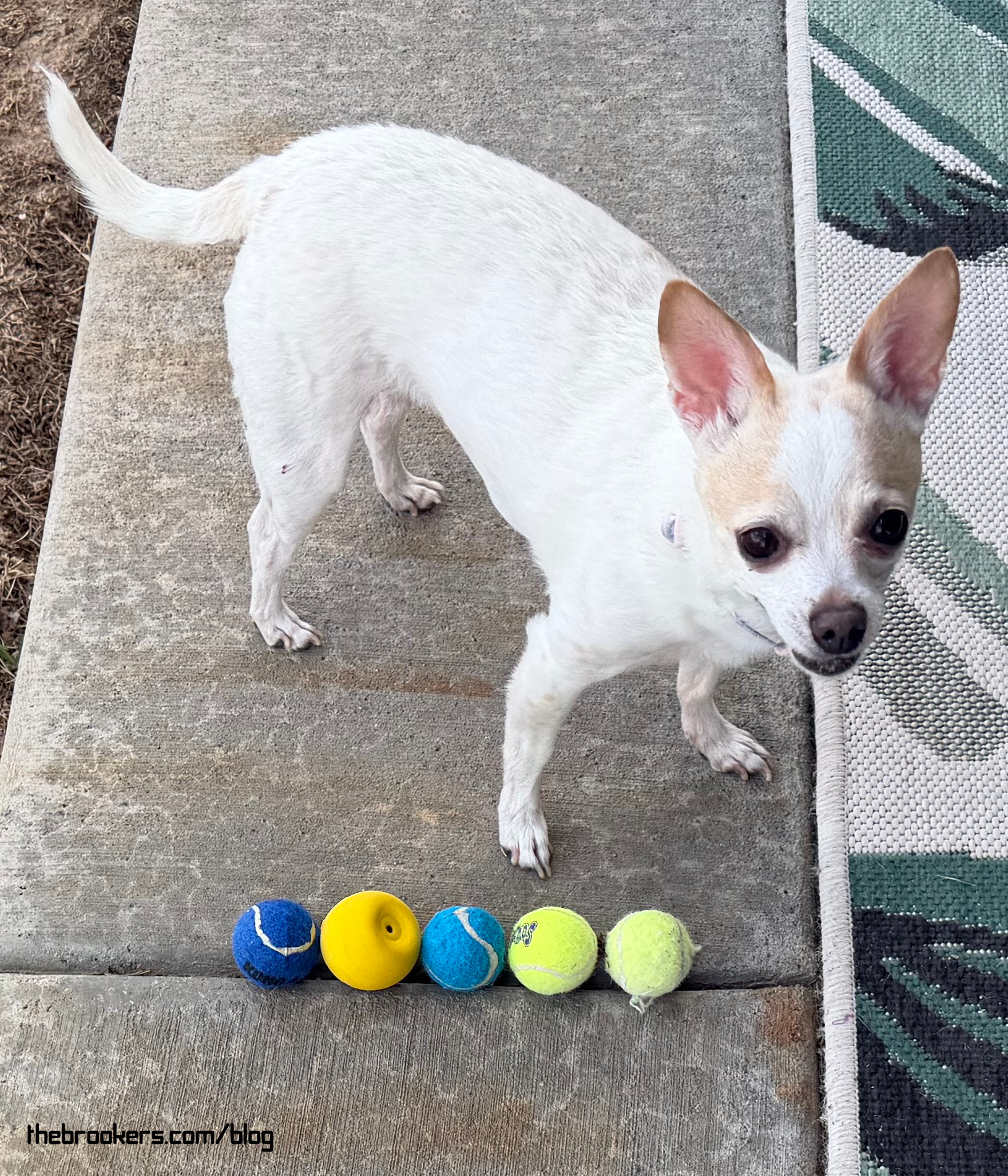 Play Ball! 2 Play Ball!