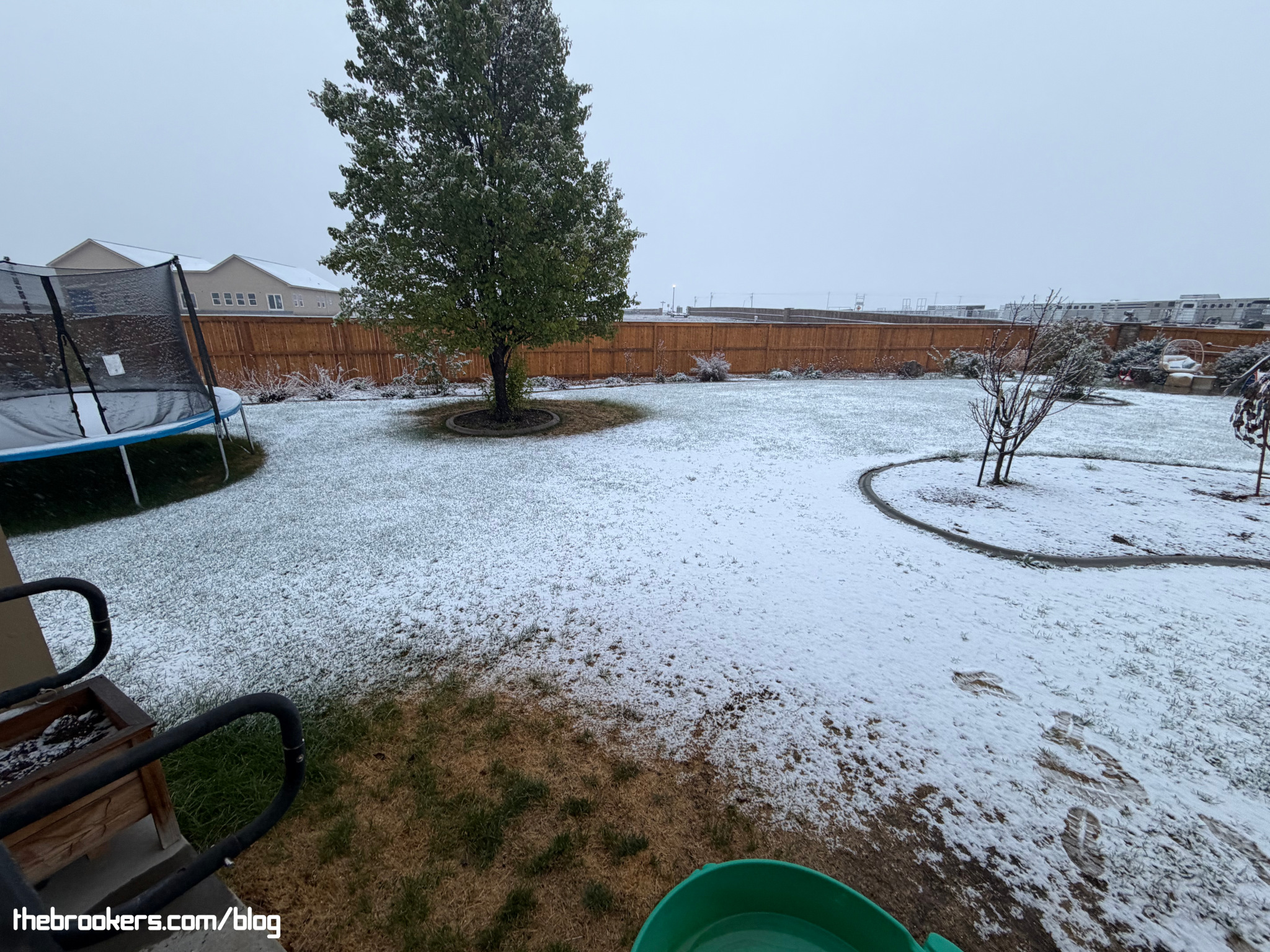 Some snow 4 Some snow