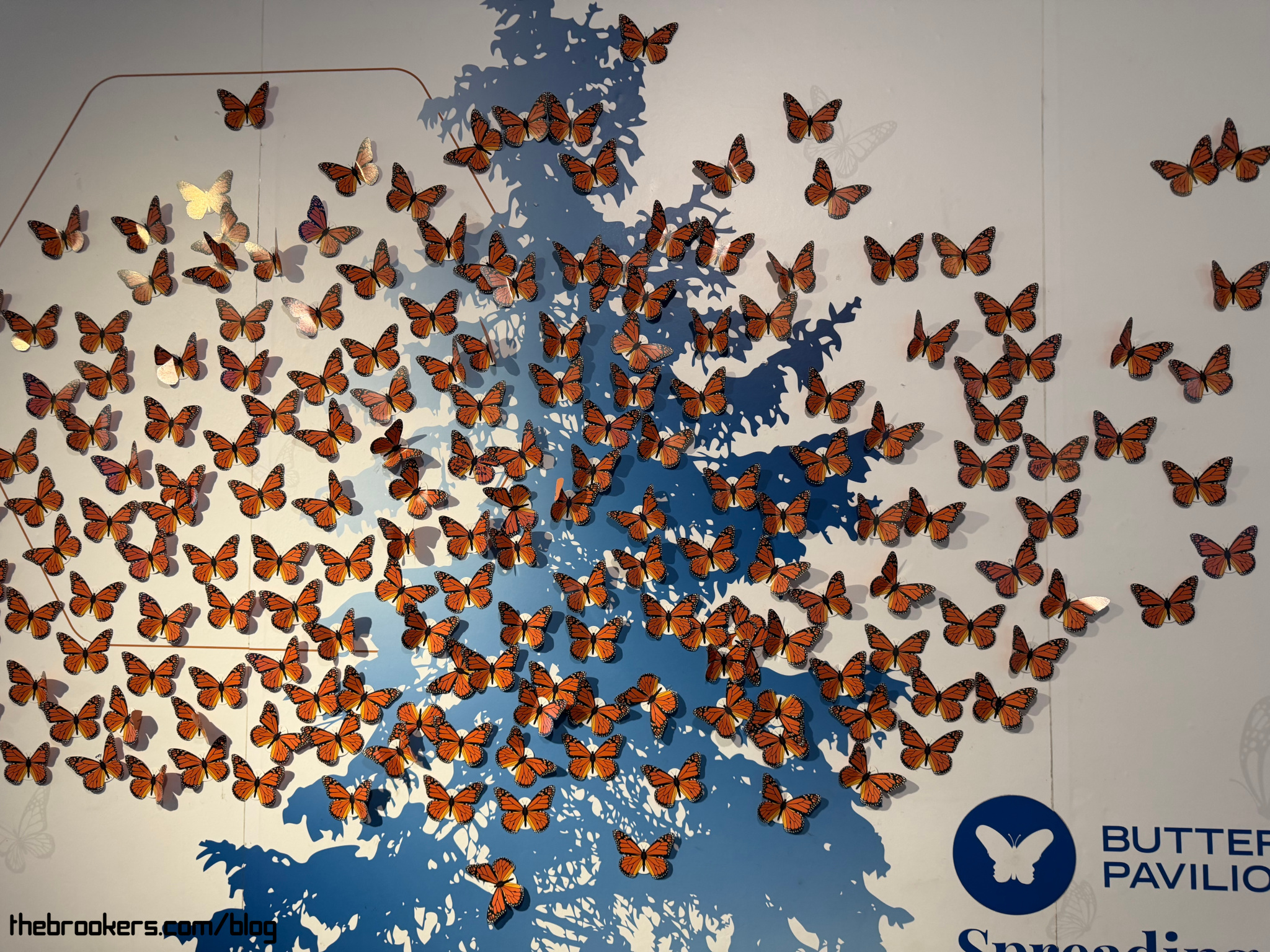 Butterfly Pavilion