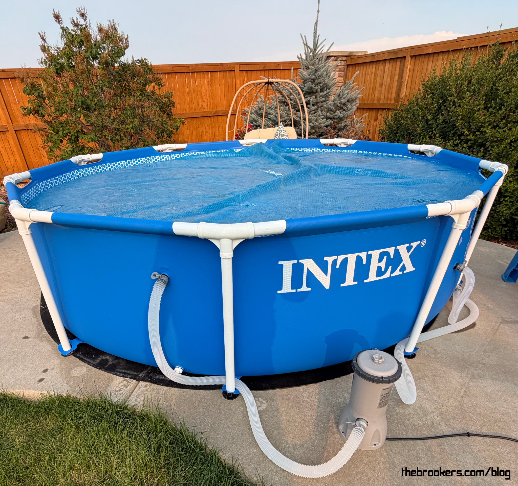 The pool is up!