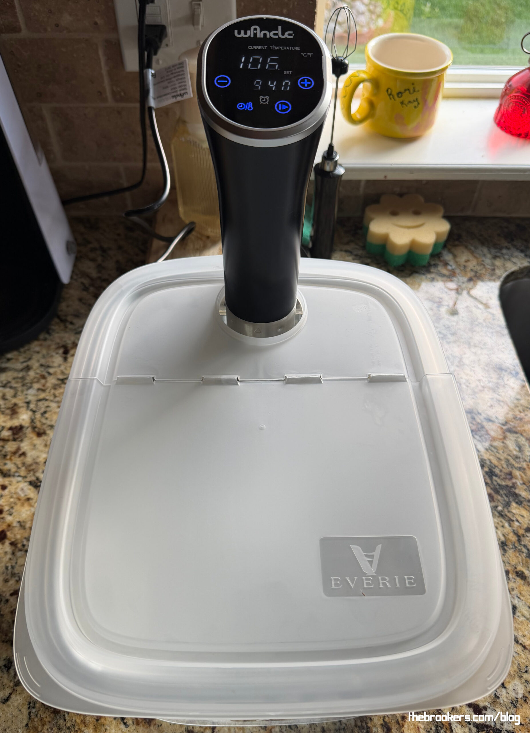 Sous Vide 1 Sous Vide