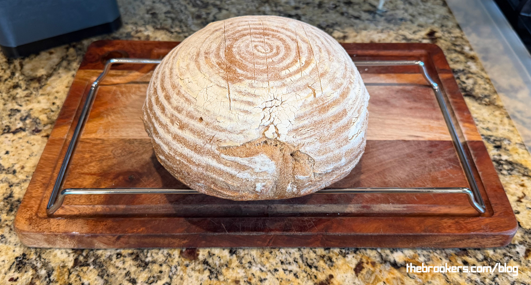 Wheat Sourdough 8 Wheat Sourdough