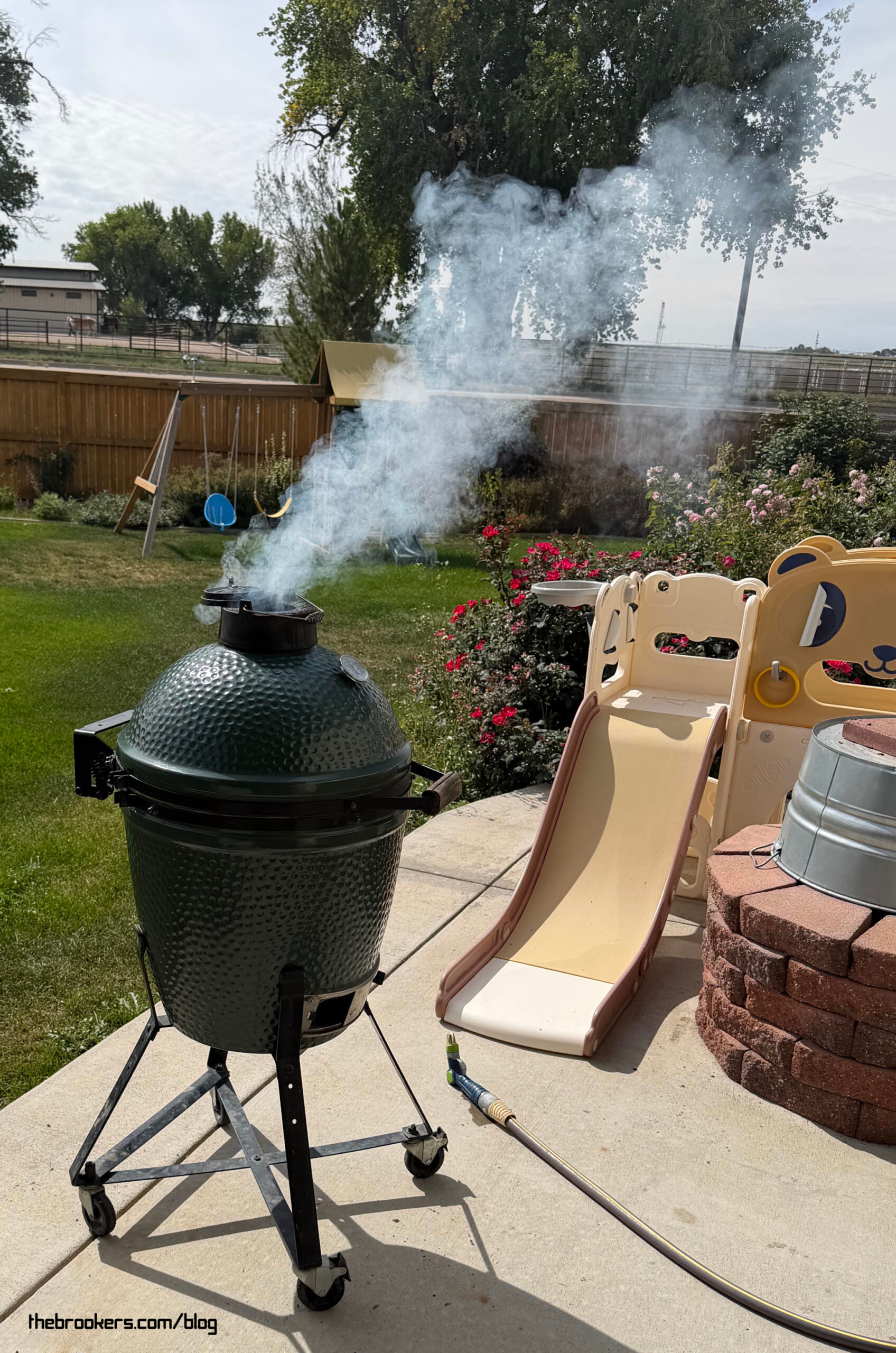 (BGE) Big Green Egg 9 (BGE) Big Green Egg
